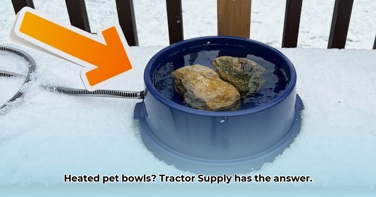 heated-pet-bowl-tractor-supply